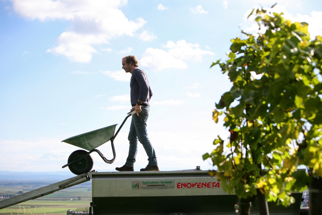 Vineyard Photoshoot in Austria