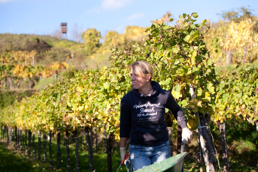 Vineyard Photoshoot in Austria